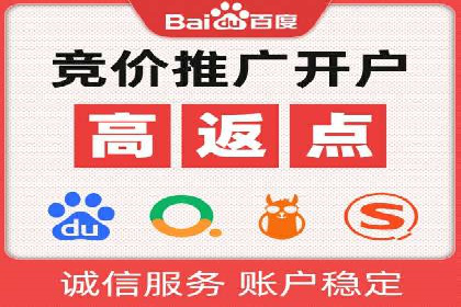百度广告推广案例费用分析报告